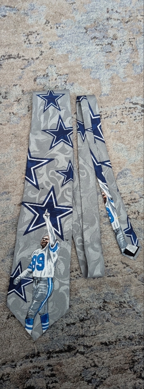 Champion NFL Team Silver & Navy Patterned Tie